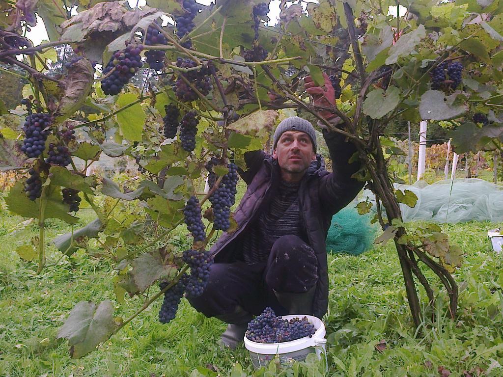Gospodarstwo agroturystyczne Winnica Spisz Łapsze Niżne